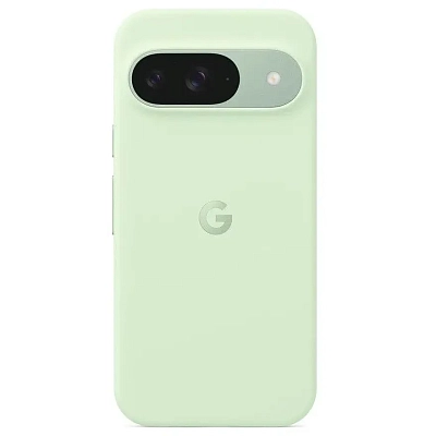 Чехол Google Pixel 9/9 Pro Silicone Protective Case - Wintergreen 400_400_533290